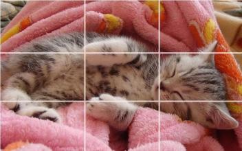 kittens Puzzle截图3