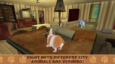 Guinea Pig Simulator: House Pet Survival截图2