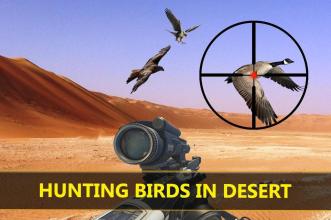 Wild Bird Sniper Hunting截图4