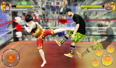 Super Star Wrestling revolution: WWF vs WWE Fight截图2