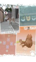 Escape game : Lost Cat Story截图3