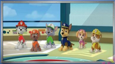 Paw Patrol Racing Run截图2