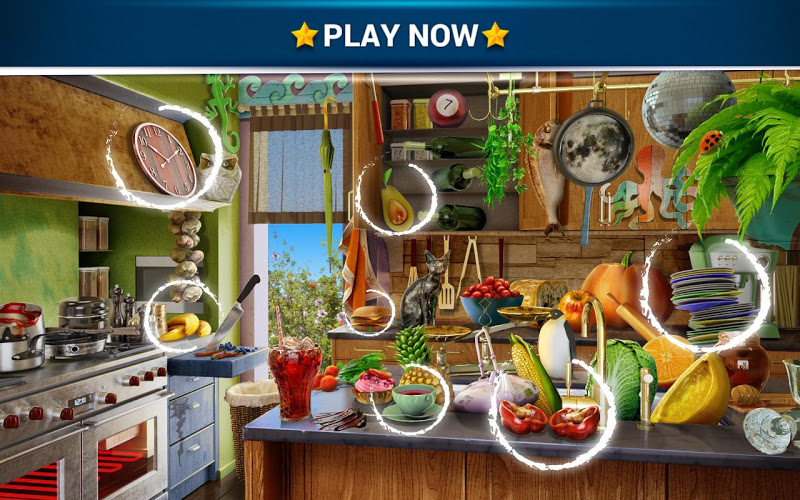 Hidden Object - Messy Kitchen截图4