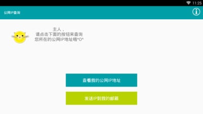 公网IP查询截图4