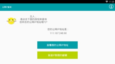 公网IP查询截图1