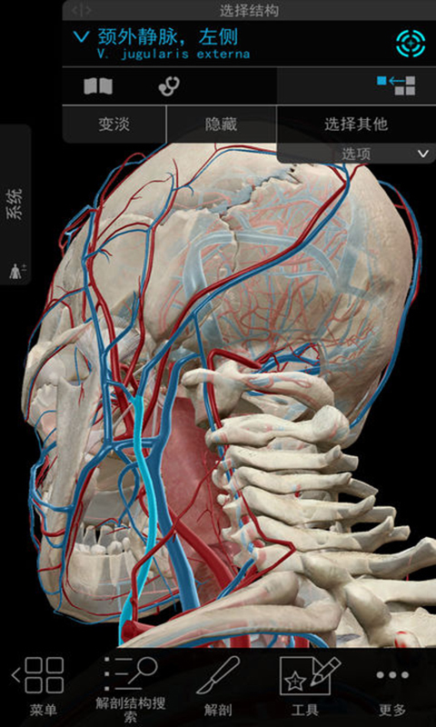 2018版人体解剖学图谱截图1