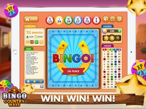 Bingo - Country Ways截图2