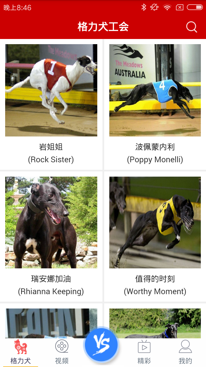 格力犬工会截图1