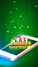 Solitaire Gone Wild截图1