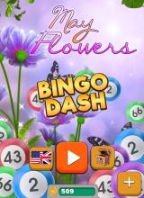 Bingo Dash - May Flowers截图5