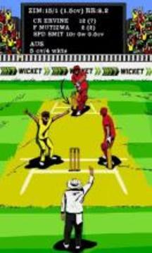 Hit Wicket Cricket 2017 - World Cup League Game截图