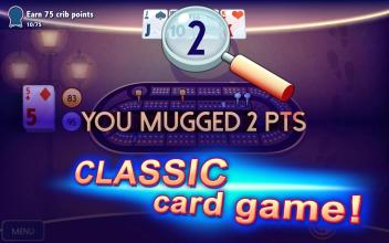 Ultimate Cribbage - Classic Card Game截图2