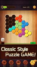 Wood Block Puzzle Hexa截图3