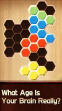 Wood Block Puzzle Hexa截图2