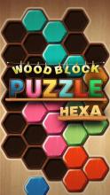 Wood Block Puzzle Hexa截图1