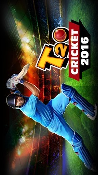 T20 Cricket 2012截图