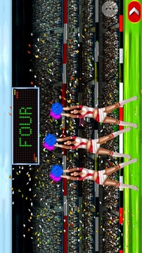 T20 Cricket 2012截图