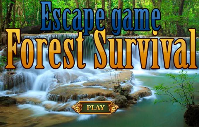 Escape Game Forest Survival截图3