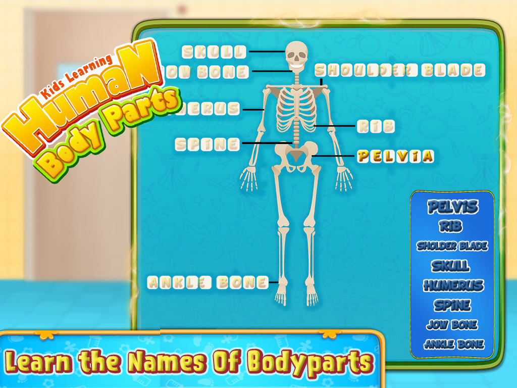 Kids Human Body Parts: Learning Game截图1