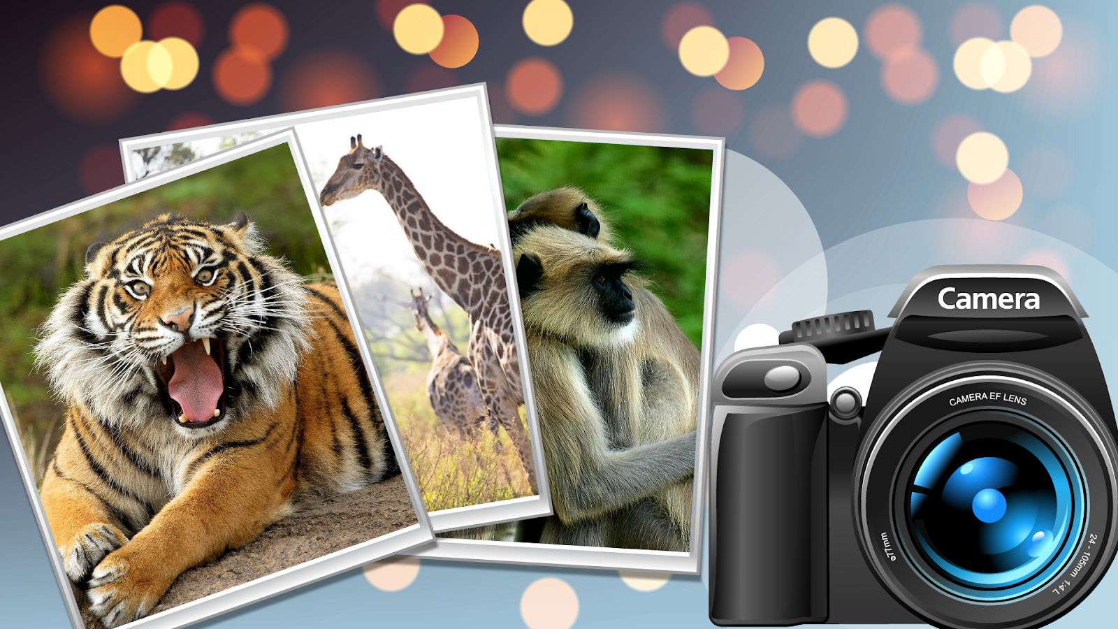 Wild Safari Quick Snapshot 3D截图3