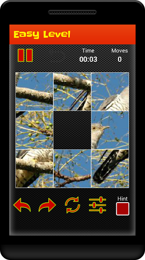 Phoenix Picture Puzzle截图2