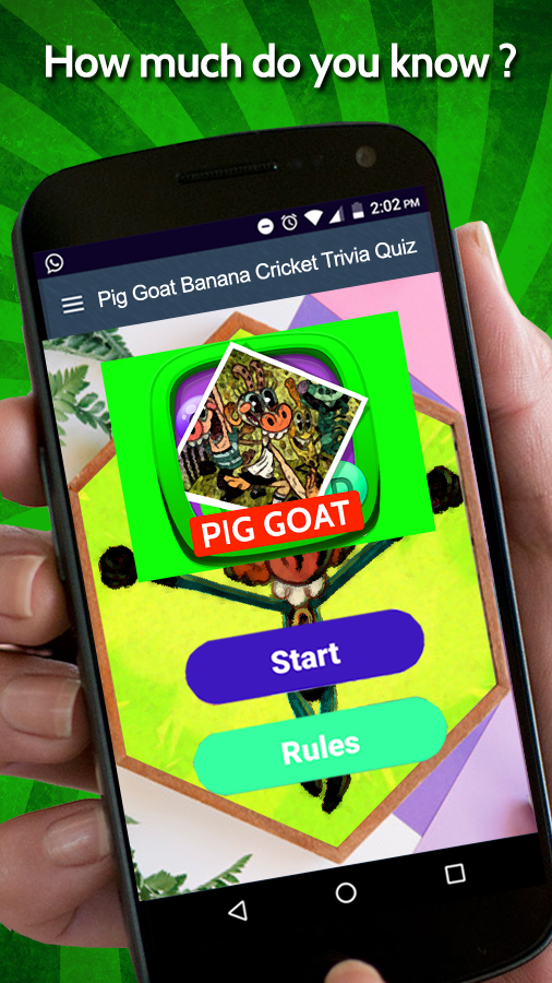 Pig Goat Banana Cricket Trivia Quiz截图4