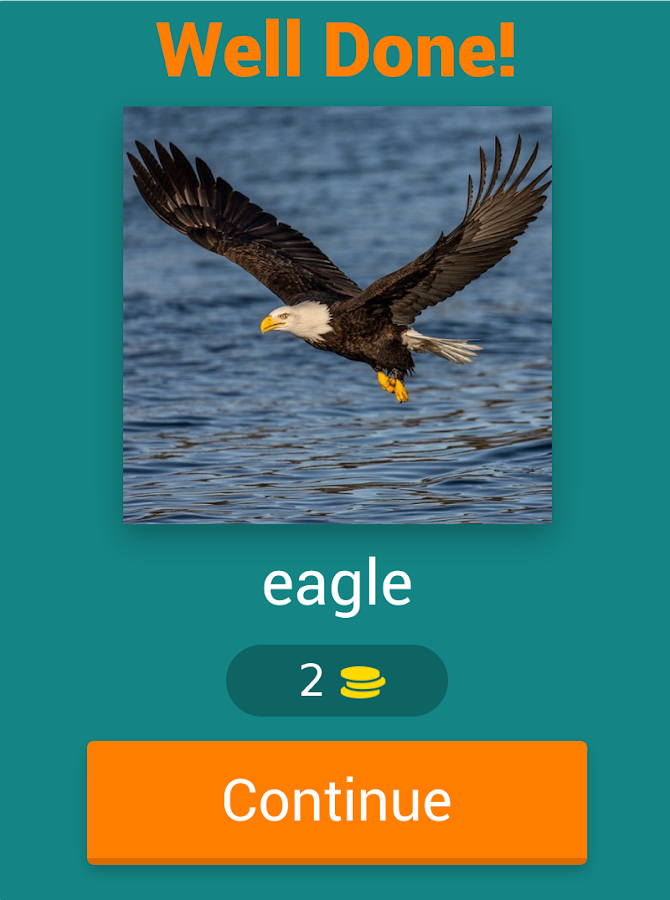 Bird Quiz截图3