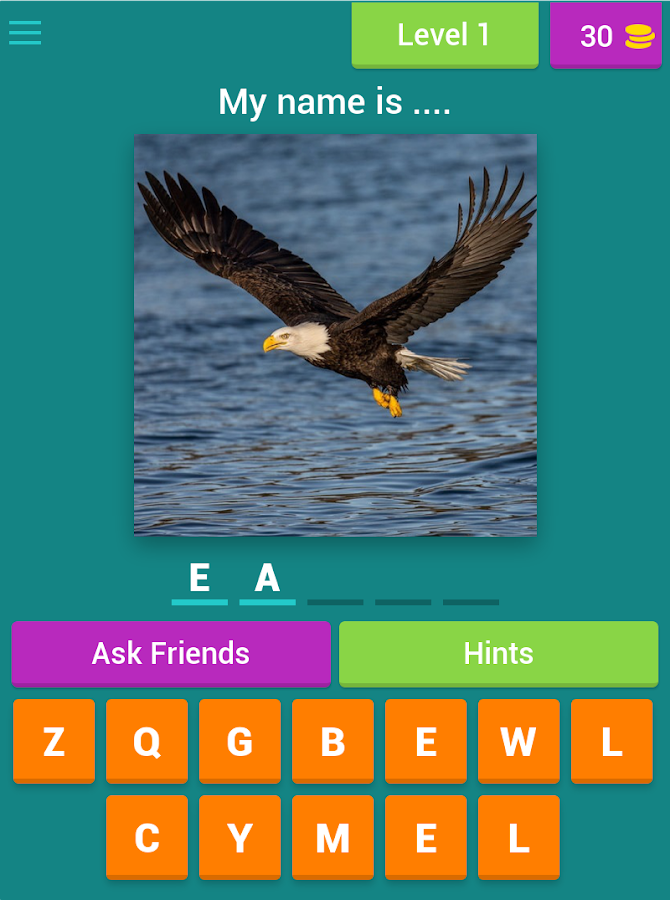 Bird Quiz截图4