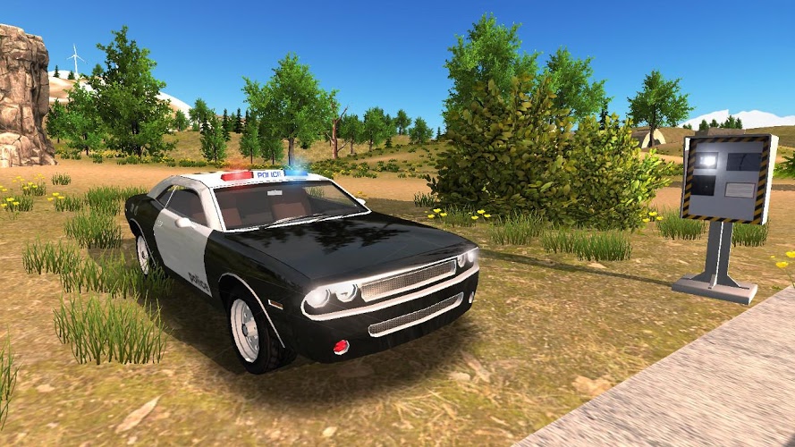 Police Car Driving Offroad截图3