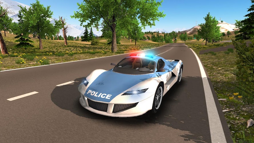 Police Car Driving Offroad截图2