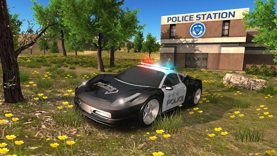 Police Car Driving Offroad截图1