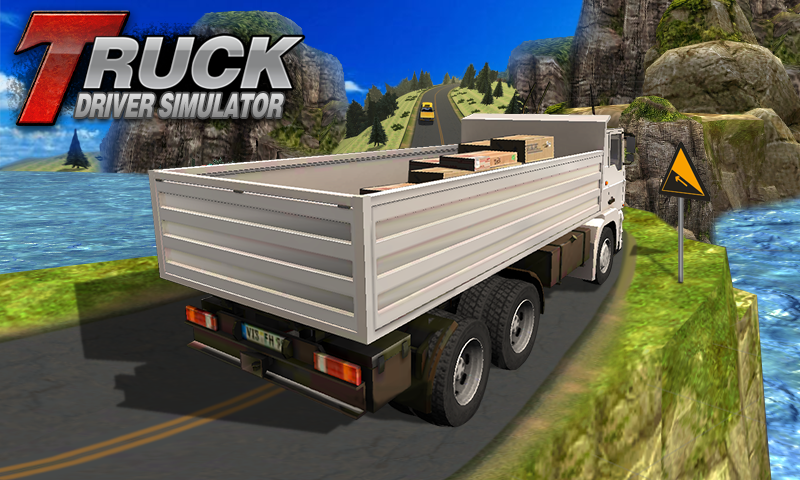 Truck Driver Simulator截图5