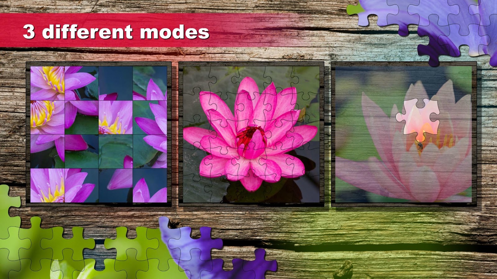 Jigsaw puzzle: Flower game blossom saga for family截图4