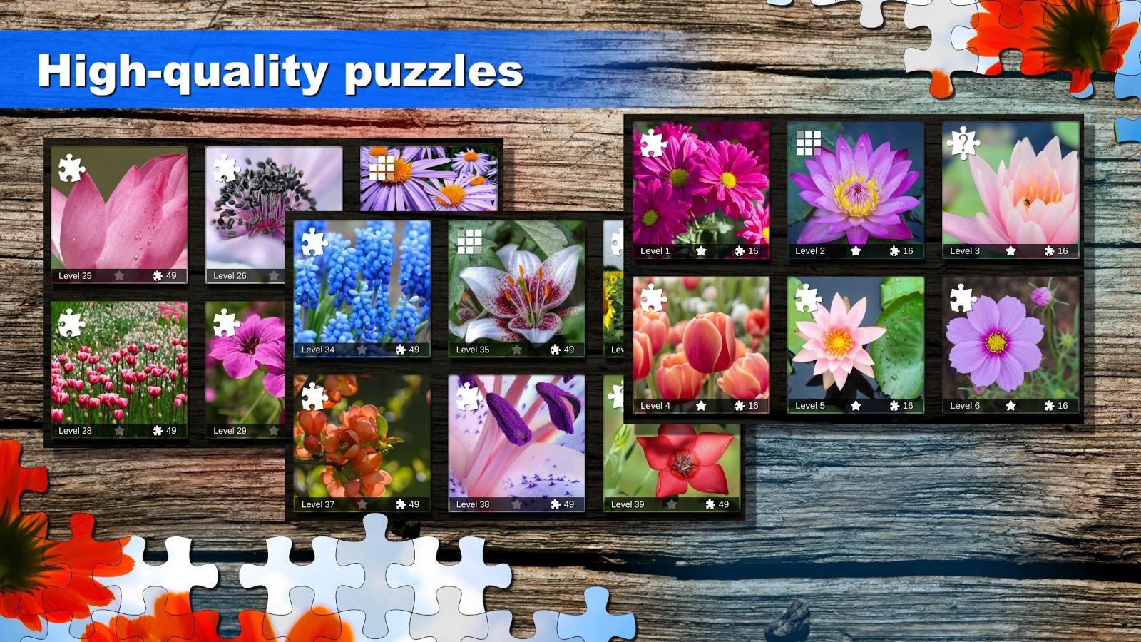 Jigsaw puzzle: Flower game blossom saga for family截图5