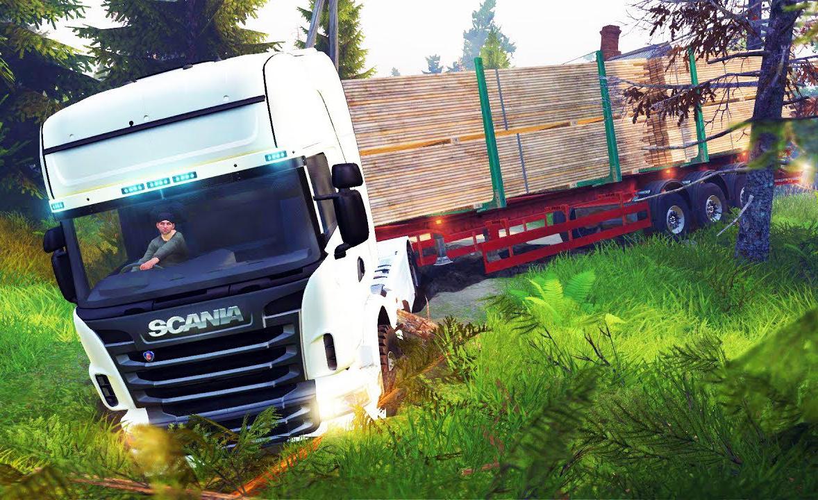 Offroad Truck Driver截图2