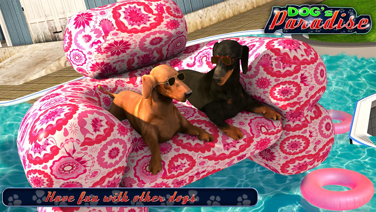 DOGS PARADISE : DOG GAMES截图5