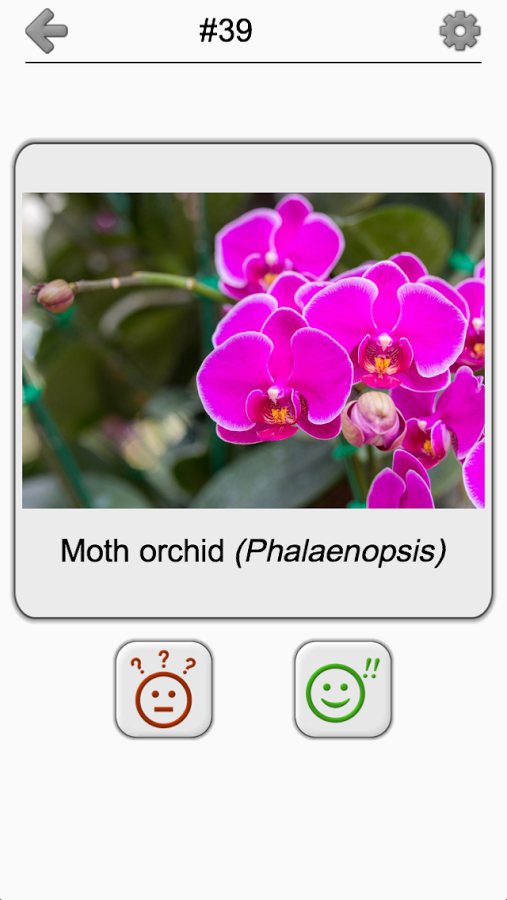 Flowers - Botanical Quiz about Beautiful Plants截图3