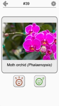 Flowers - Botanical Quiz about Beautiful Plants截图
