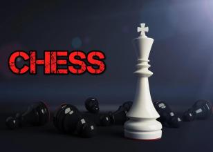 Chess Free 2017截图1