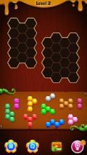 Hexa Puzzle Deluxe - Addictive Puzzle Games截图1