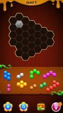 Hexa Puzzle Deluxe - Addictive Puzzle Games截图2