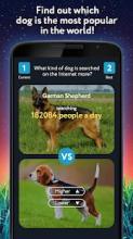 What's Higher Lower Game Dogs Quiz截图3