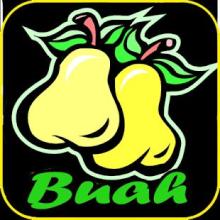 Game Menebak Nama Buah Offline截图4