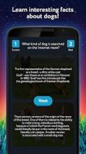 What's Higher Lower Game Dogs Quiz截图1