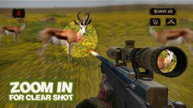 Wild Safari Hunter: Hunting & Shooting 3D截图4