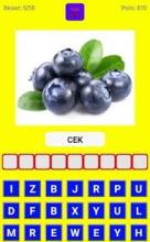 Game Menebak Nama Buah Offline截图1