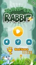 Rabbit Dom截图3