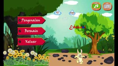 Game Edukasi Mengenal Hewan截图4