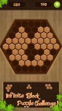 Wooden Block Puzzle 2018截图2