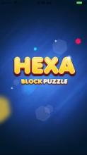 Block Puzzle Hexagon Legend截图1